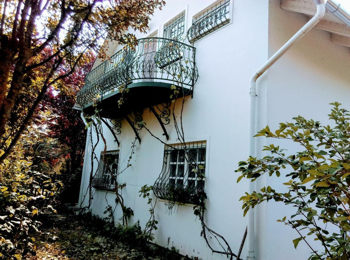 Fesztival Nyaralohaz Apartment Zamardi Exterior photo
